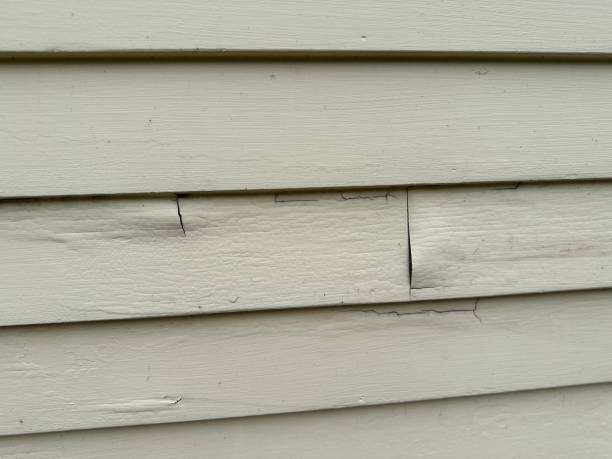 Storm Damage Siding Repair in Evadale, TX